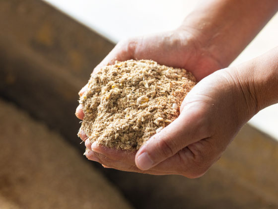 SDGs飼料「エコフィード」